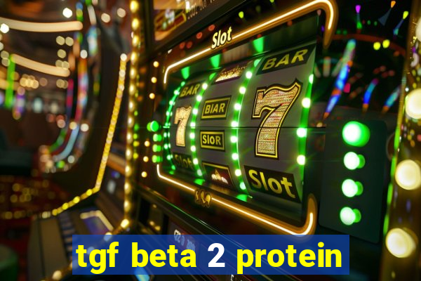 tgf beta 2 protein